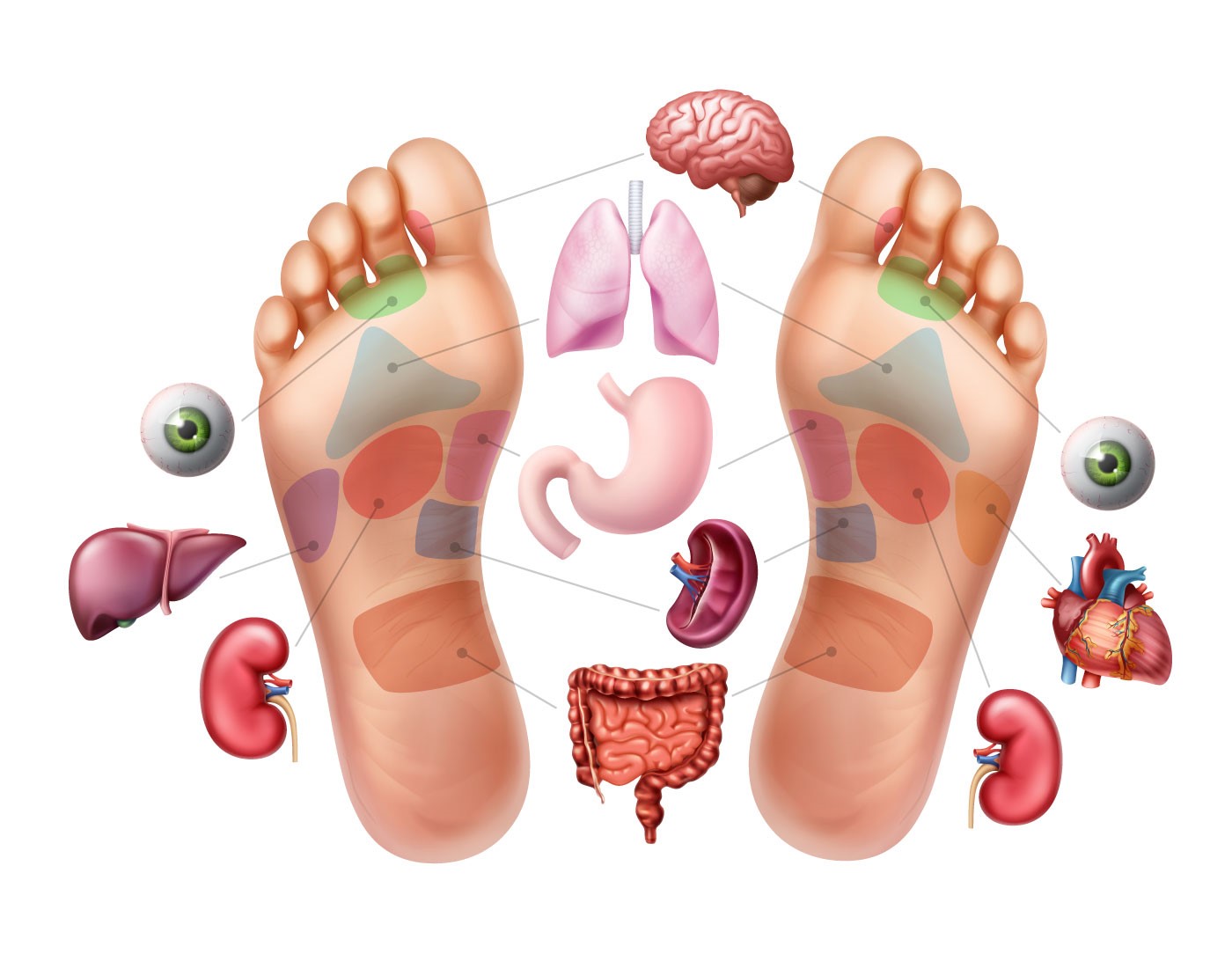 reflexology map