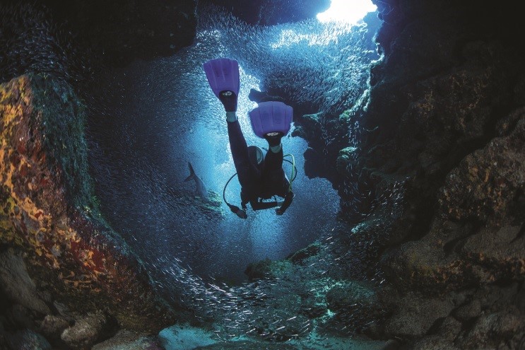 JetSet Magazine: Grand Cayman: A movable feast for the senses
