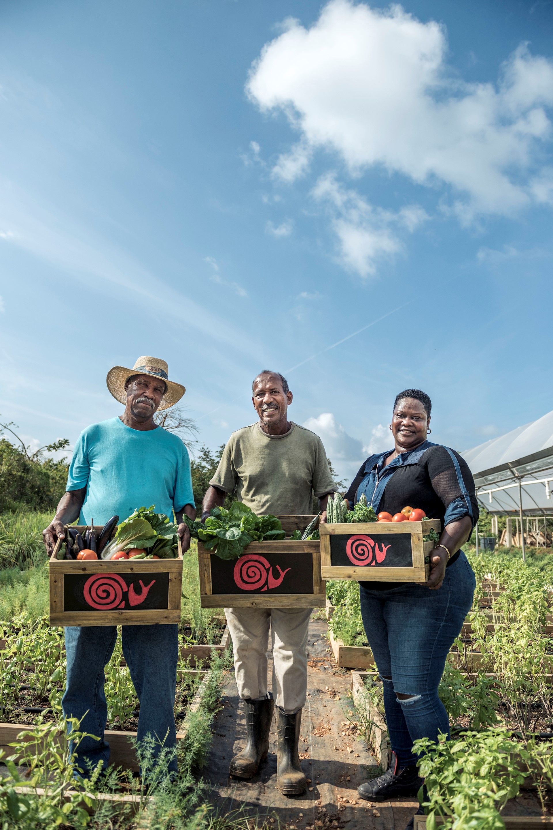 Celebrate all things local with Slow Food Day at Camana Bay