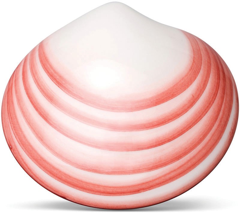 pink-lava-shell