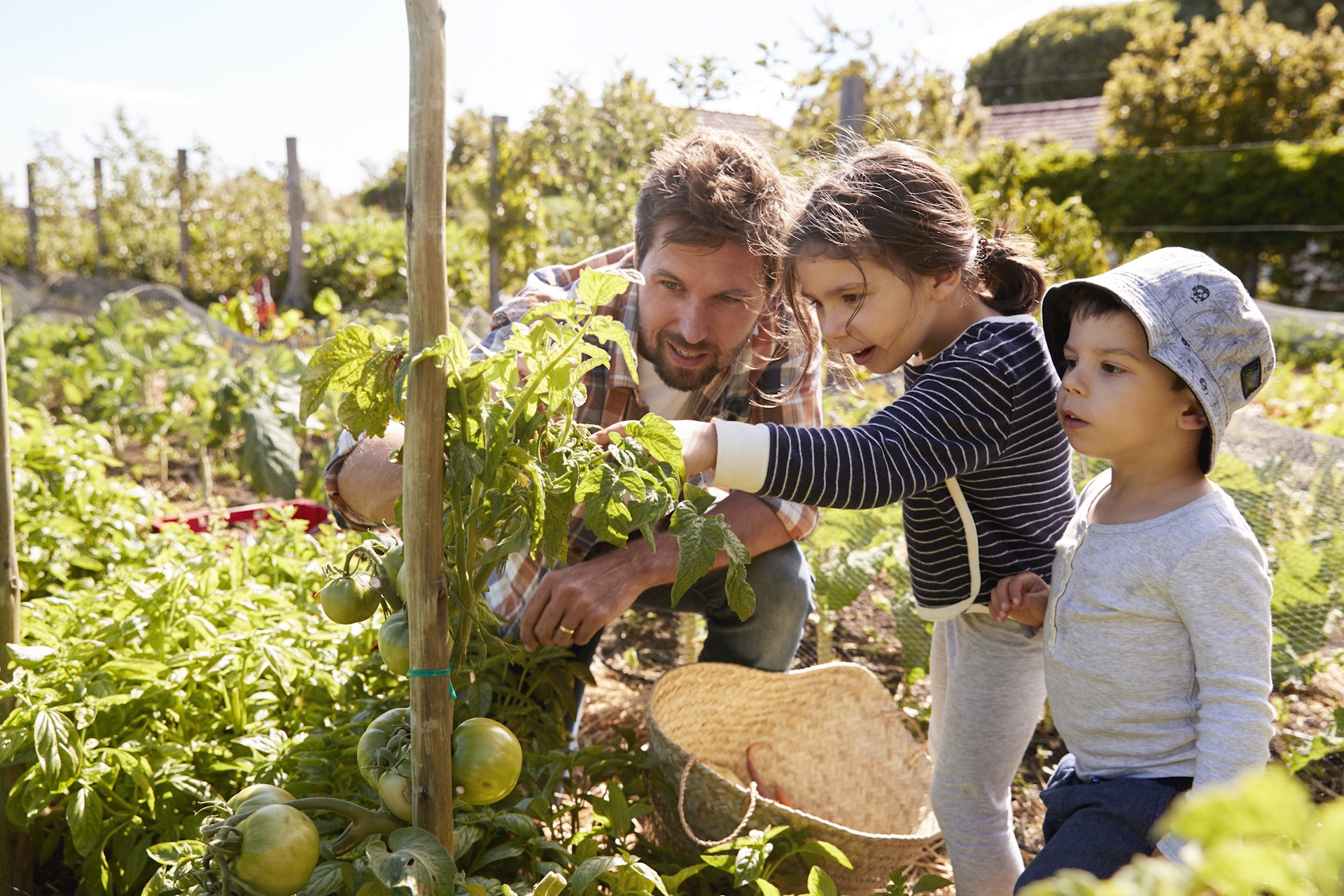 father-and-children-observing-herbs-on-a-post-in-a-garden