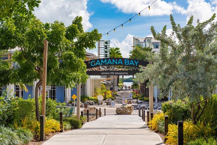 Vibrantly landscaped pathway