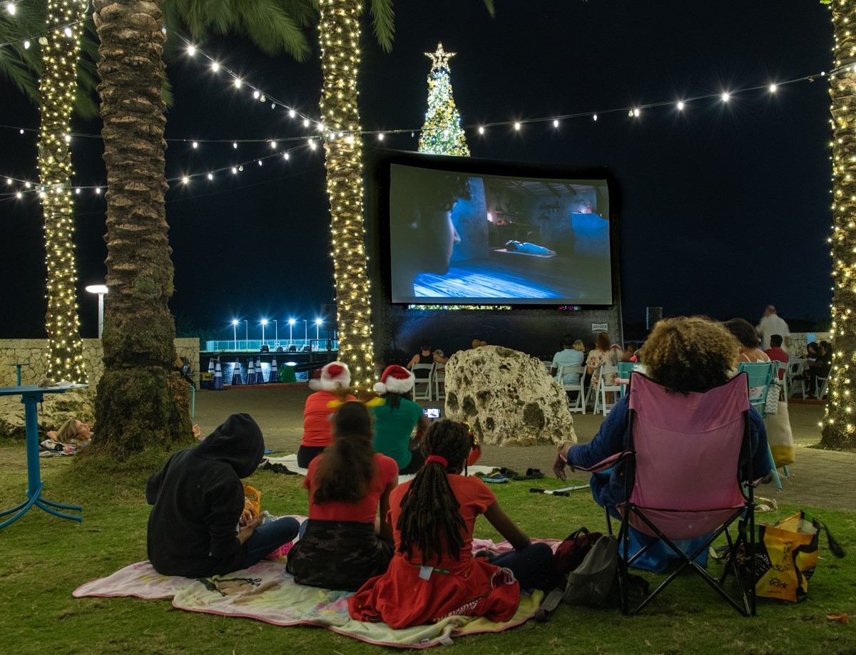 Christmas Moonlight & Movies