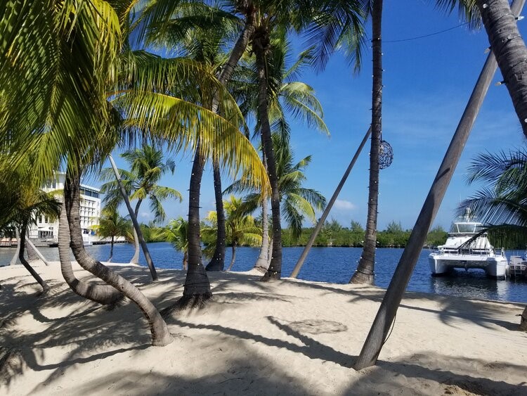 Deviating the norm:  Free (Or Low-Cost) Activities In Grand Cayman