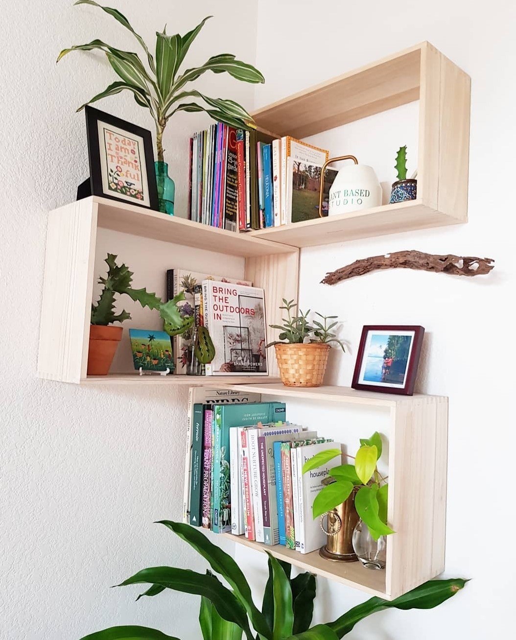 Plantscaping