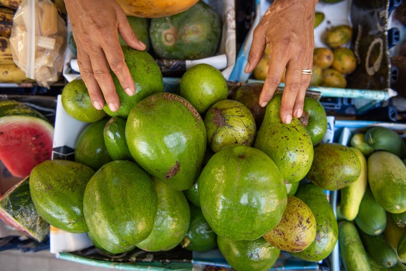 Farmers & Artisans Market returns for peak harvest season at Camana Bay