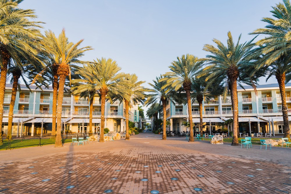 5 of the most striking trees in Cayman Camana Bay