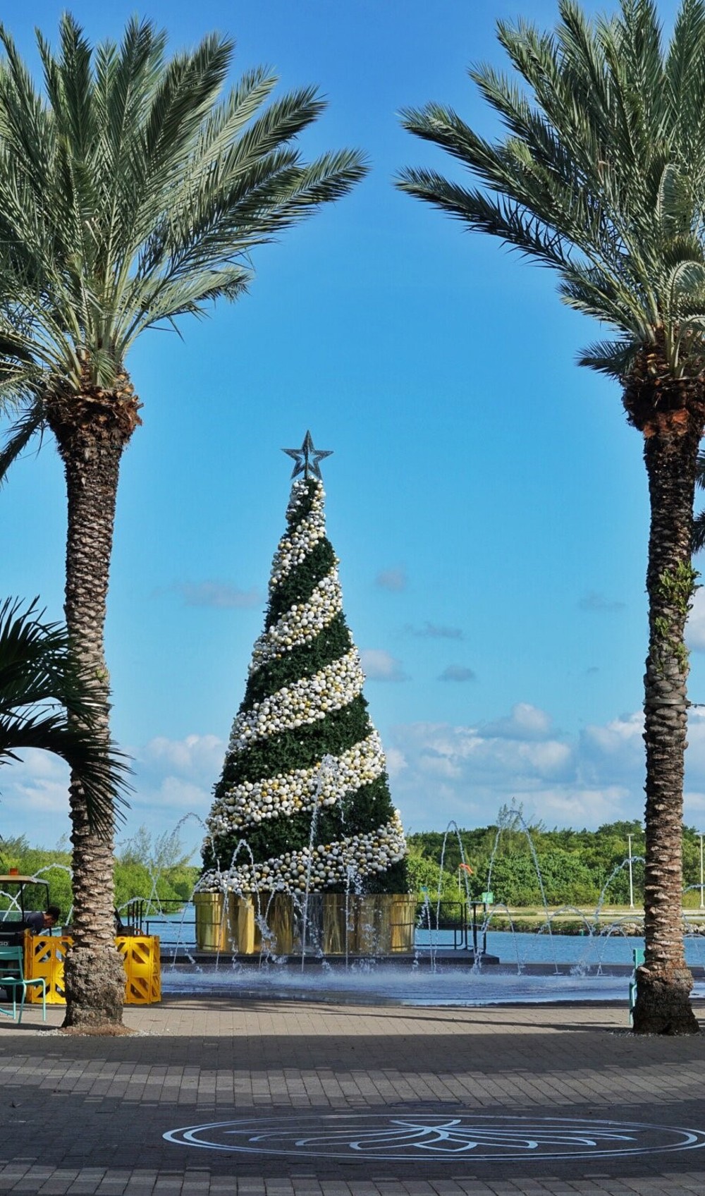 Island Epicurean Cayman's home of the holidays Camana Bay