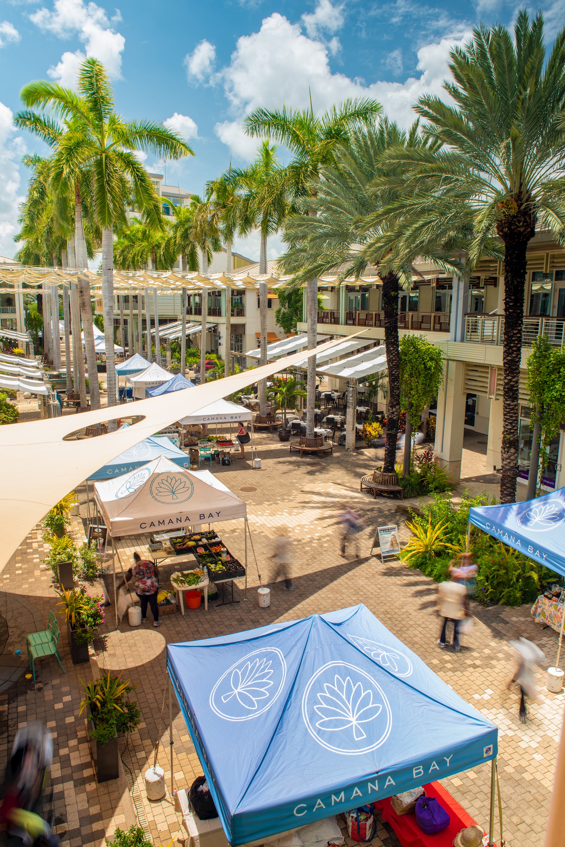 Farmers & Artisans Market