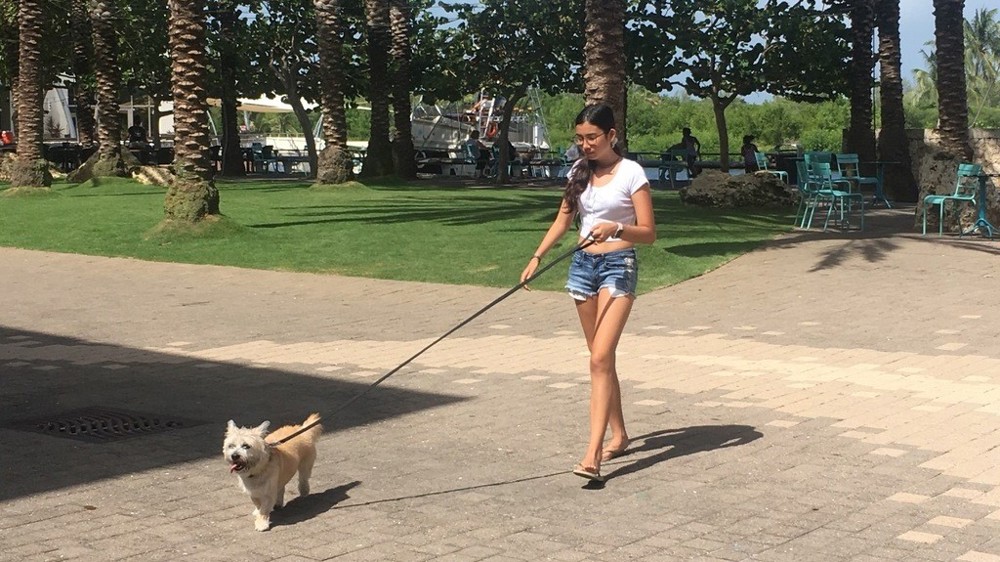 5 pawfect things to do with your dog in Cayman Camana Bay