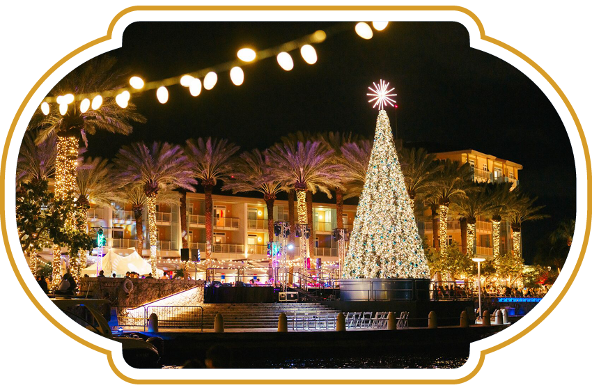 Annual tree lighting Camana Bay