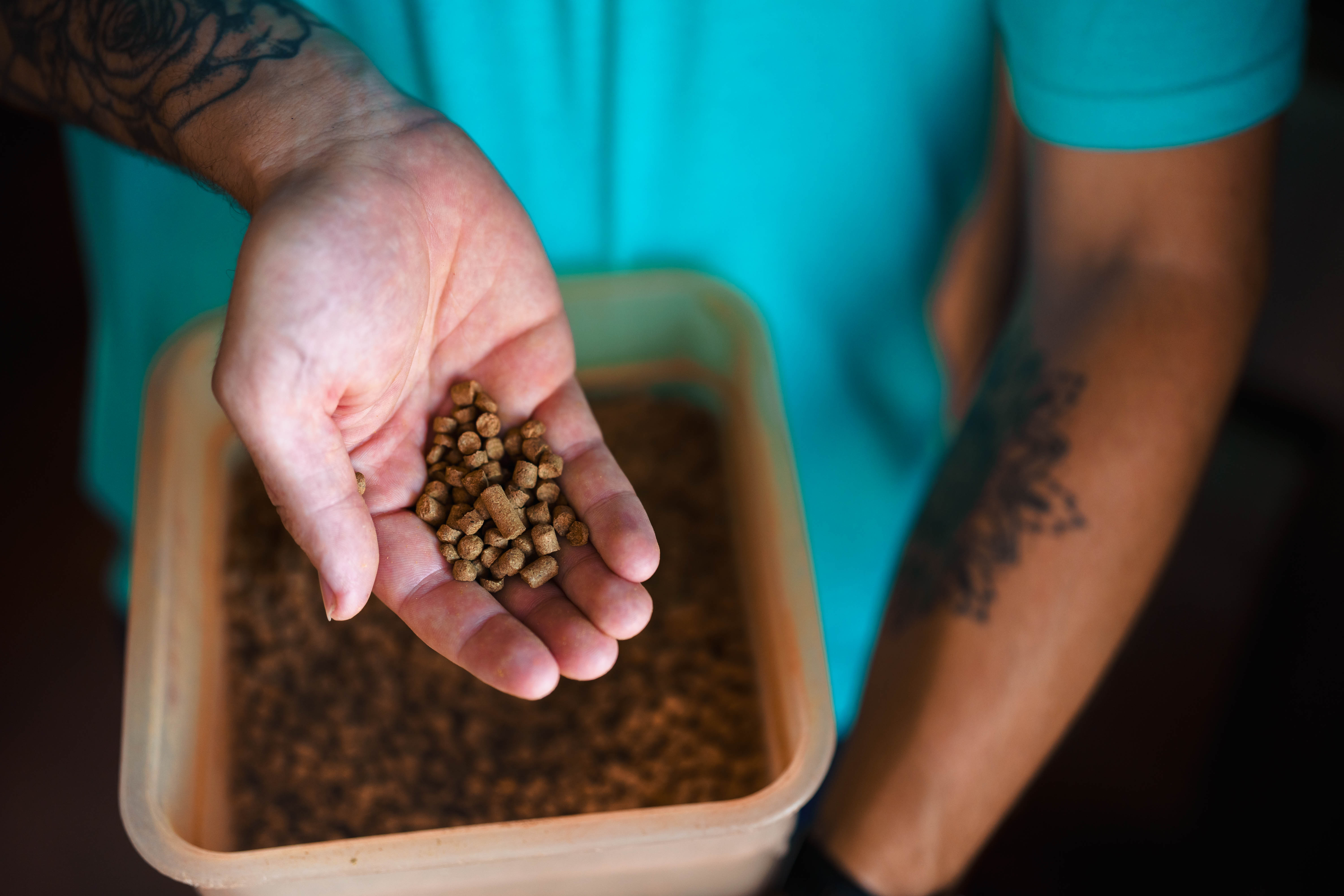 Camana Brew is crafted with a blend of Citra and Amarillo hops.