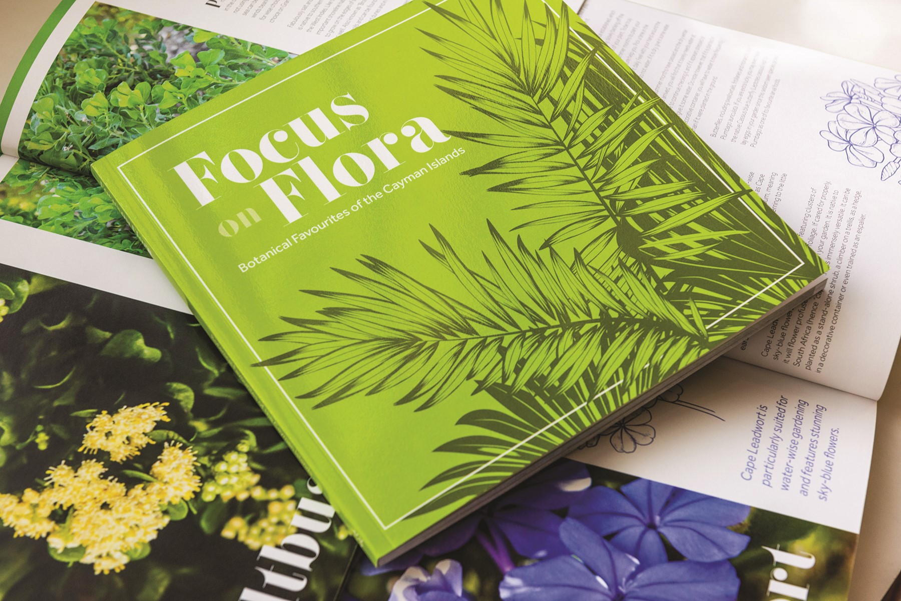focus on flora book