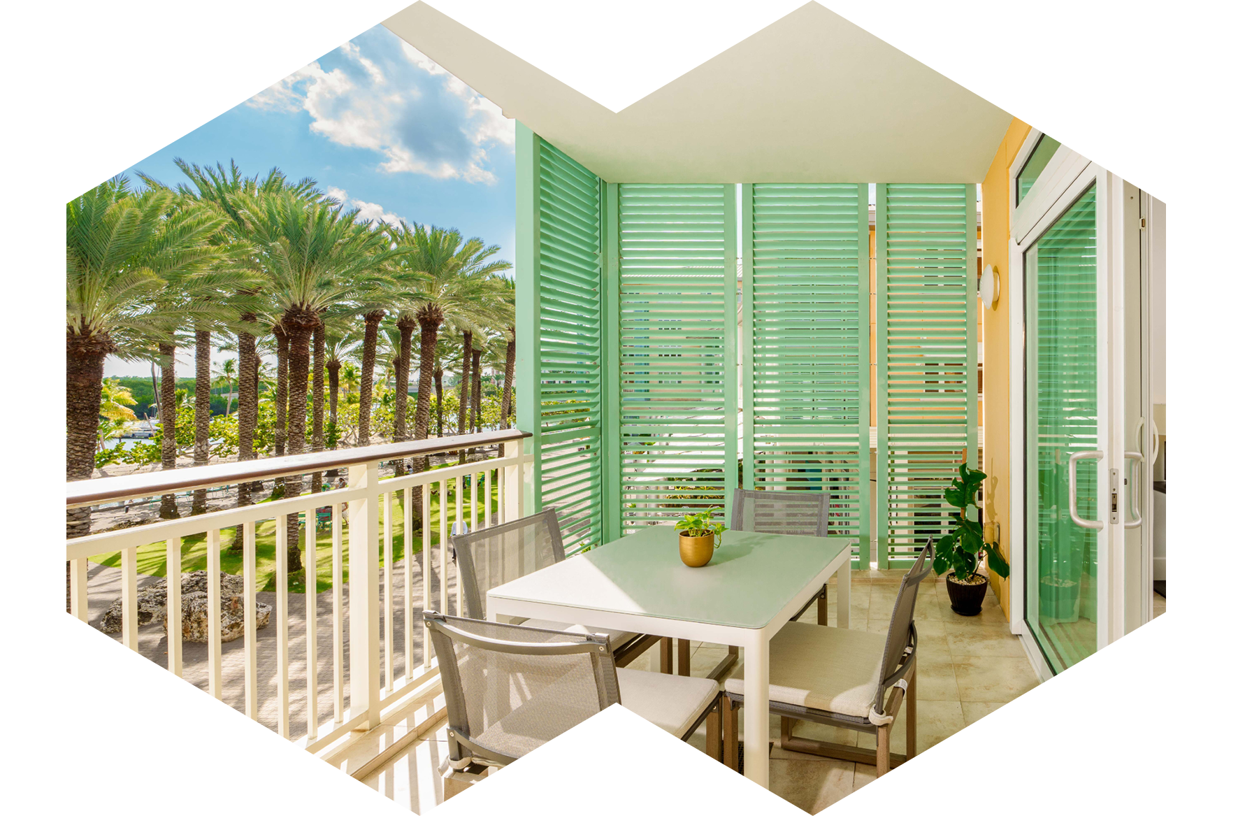 view of palm trees from balcony