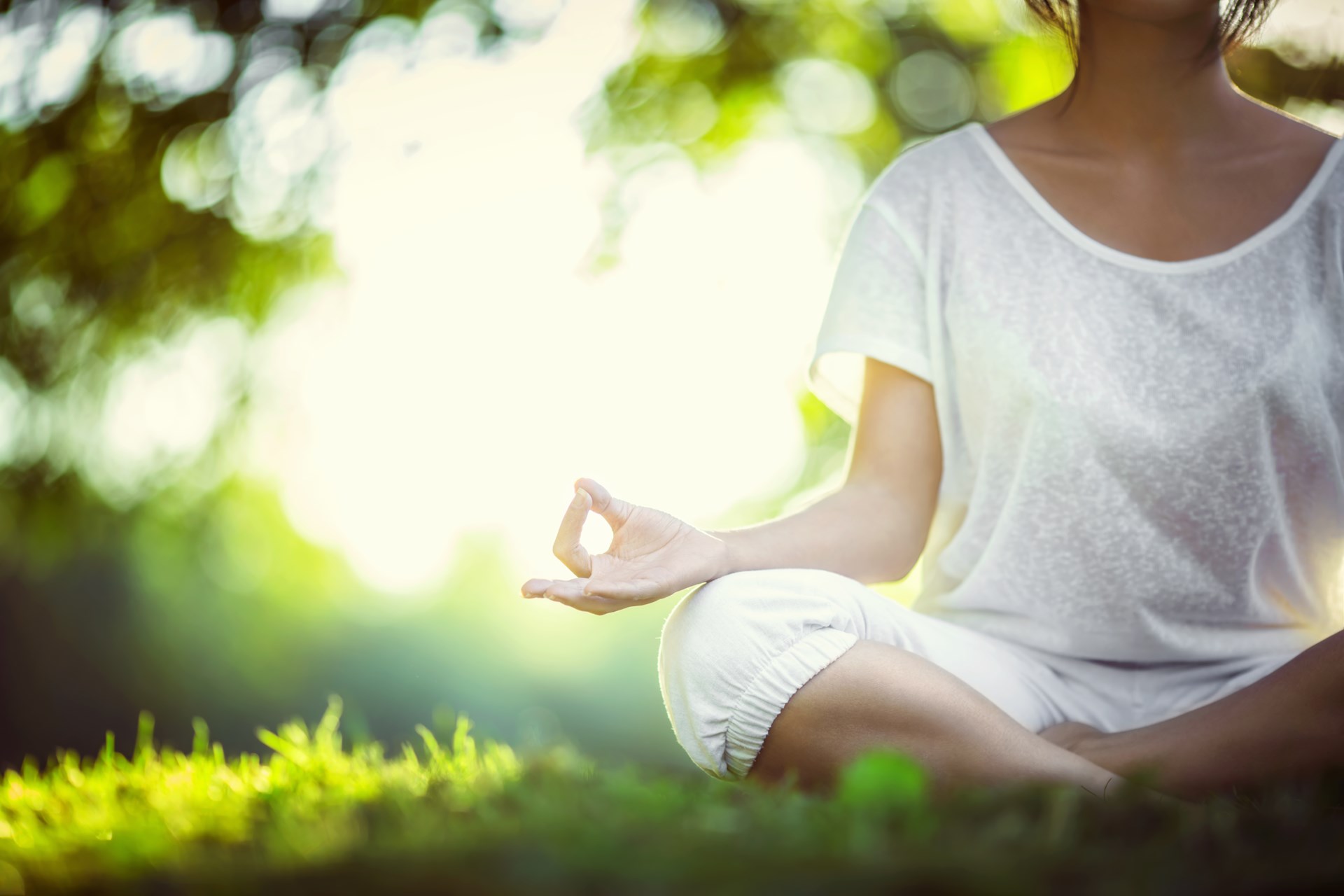 Zest Wellness Yoga Session