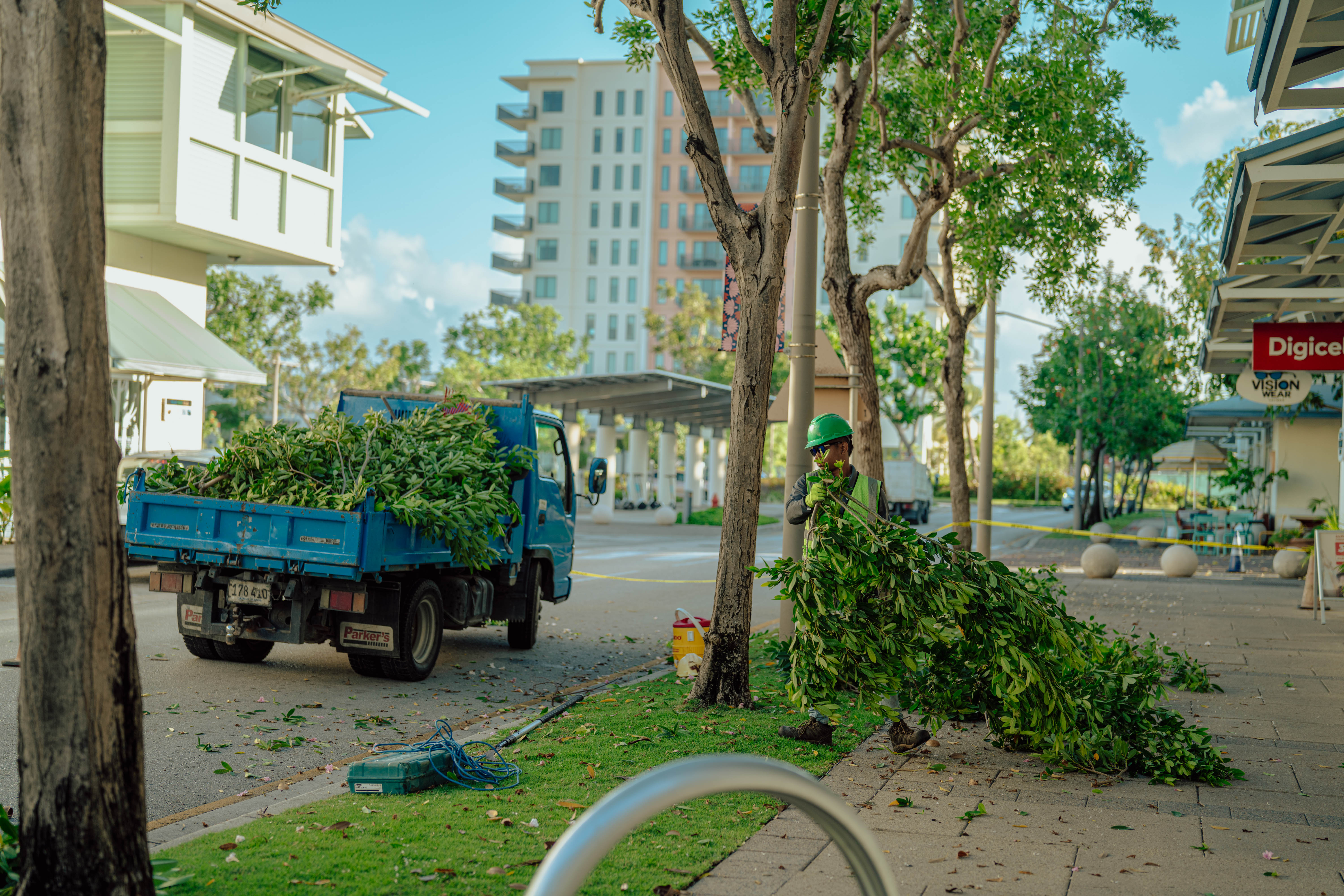 Crews prune trees in Camana Bay