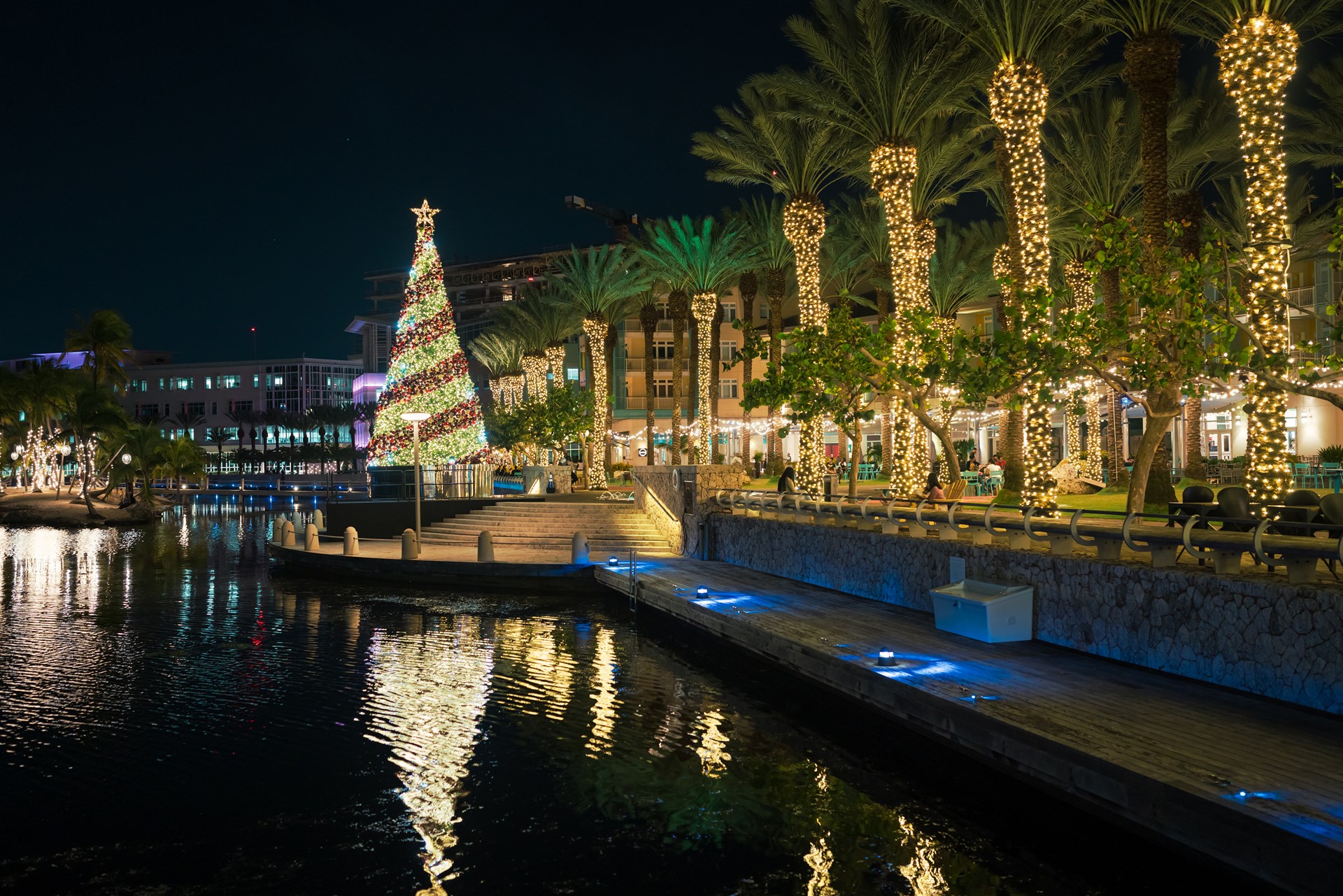 Christmas tree on a harbour