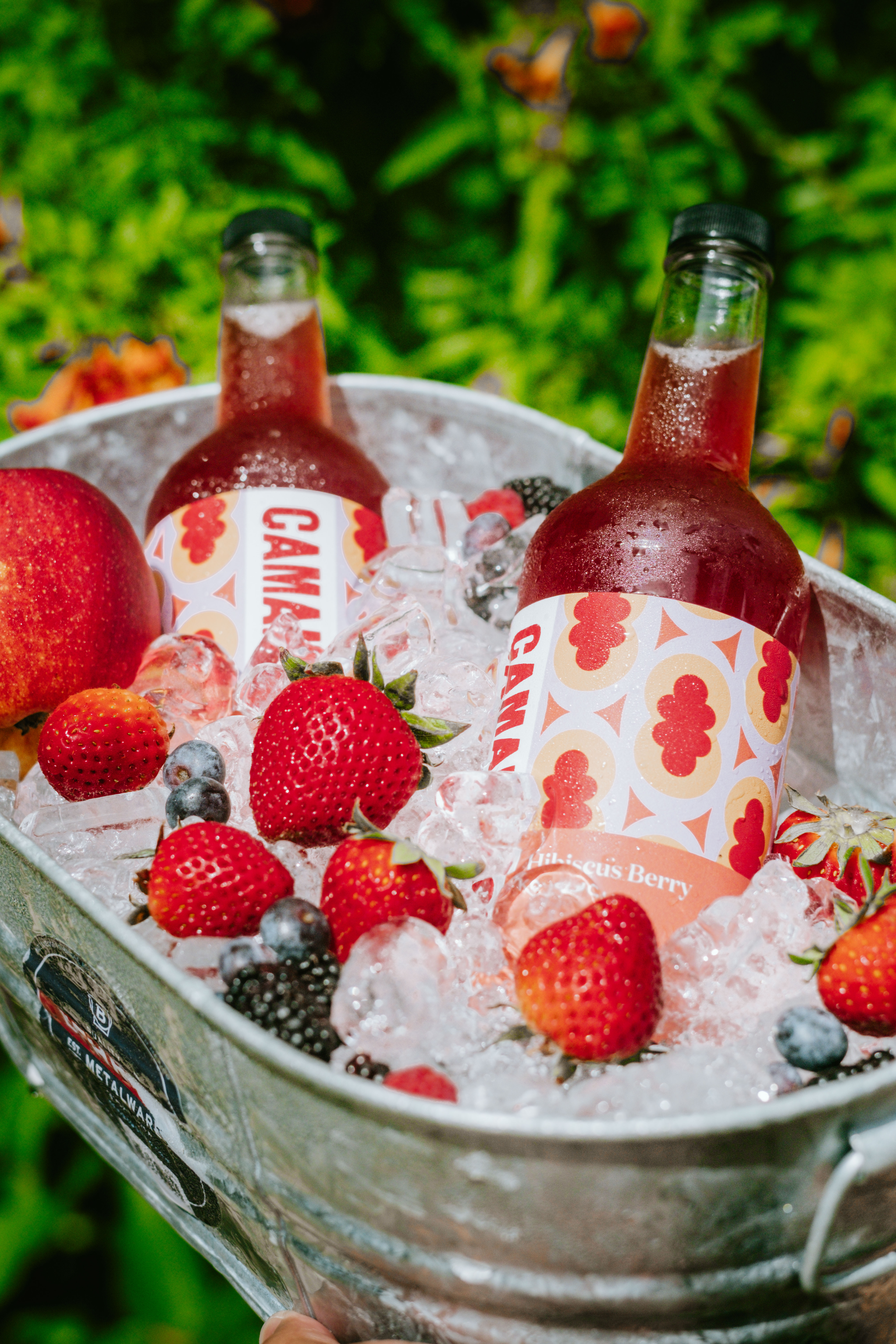 Camana Brew and Booch: Where to sip these local creations