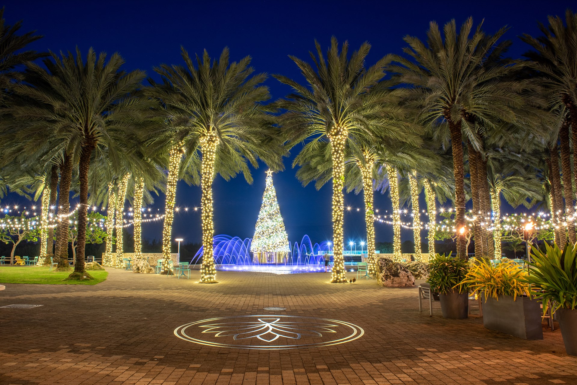 tree lighting