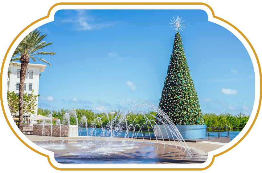 Annual tree lighting Camana Bay